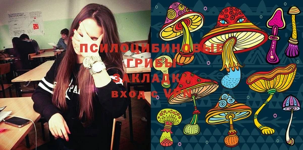 ГАЛЛЮЦИНОГЕННЫЕ ГРИБЫ Аркадак