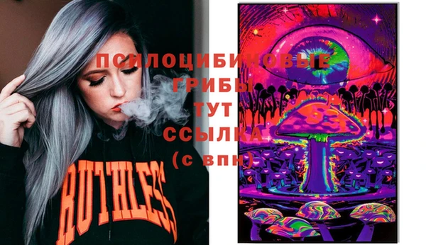 ГАЛЛЮЦИНОГЕННЫЕ ГРИБЫ Аркадак