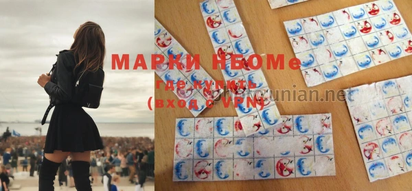 ГАЛЛЮЦИНОГЕННЫЕ ГРИБЫ Аркадак